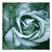 Grunge Texture Painted Rose Foto Print