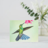 Grüngekrönte brillante Hummingbird & Pink-Blume Postkarte (Stehend Vorderseite)