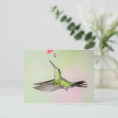 Grüngekrönter brillanter Hummingbird Fliegen Postkarte (Stehend Vorderseite)