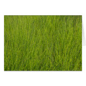 Grüngras (Vorderseite (Horizontal))