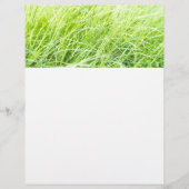 Grüngras Flyer (Vorne)