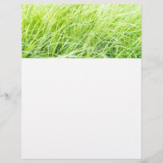 Grüngras Flyer (Vorne)