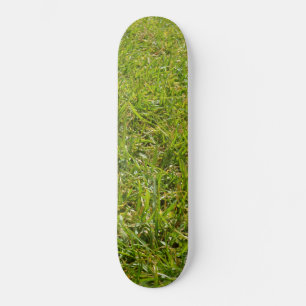 Grüngras, Gärtner, Skateboard