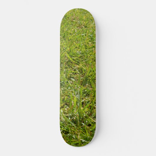 Grüngras, Gärtner, Skateboard (Vorderseite)
