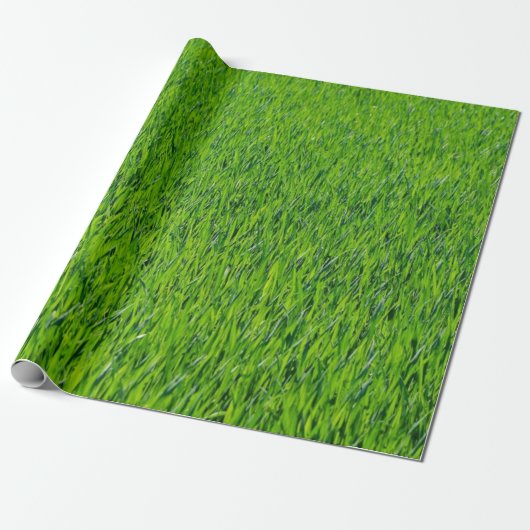 Grüngras Geschenkpapier (Ungerollt)