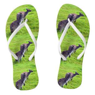 Grüngras Kängurus, Flip Flops Badesandalen