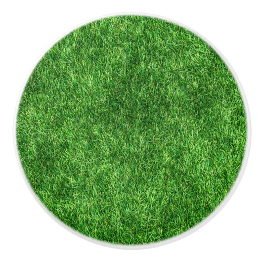 Grüngras Keramikknauf (Vorderseite)
