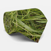 Grüngras Krawatte (Gerollt)