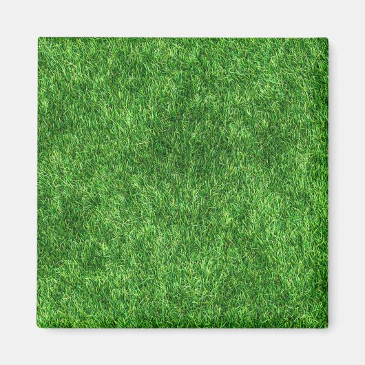 Grüngras Magnet (Vorne)