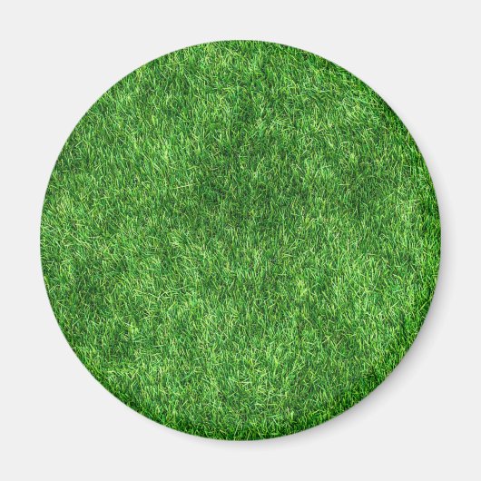 Grüngras Magnet (Vorne)