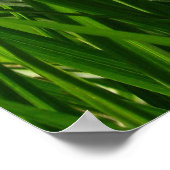 Grüngras mit Zuhause Poster (Ecke)