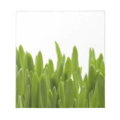 Grüngras Notizblock (Vorderseite)