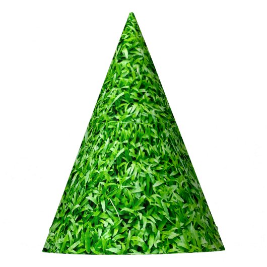 Grüngras Partyhütchen (Vorderseite)