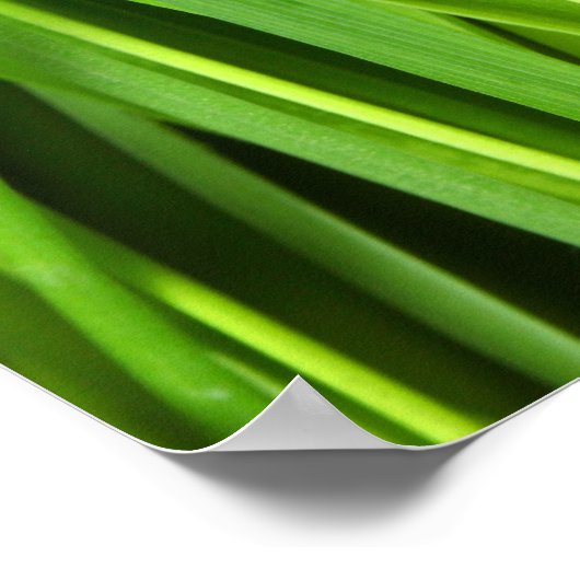 Grüngras Poster (Ecke)