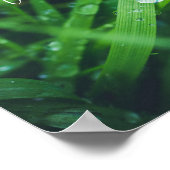 Grüngras Poster (Ecke)
