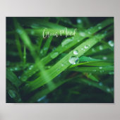 Grüngras Poster (Vorne)