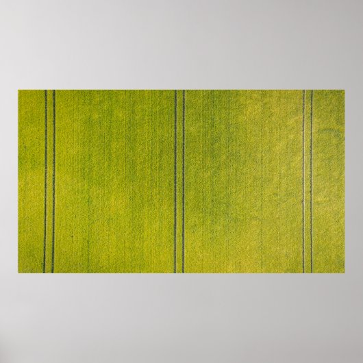 Grüngras Poster (Vorne)