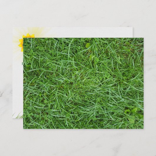Grüngras Postkarte (Vorne/Hinten)