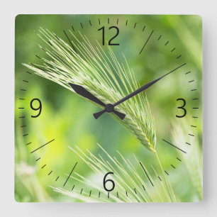 Grüngras Quadratische Wanduhr