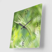 Grüngras Quadratische Wanduhr (Winkel)