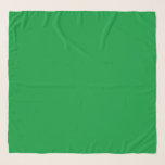 Grüngras Schal<br><div class="desc">Grüngras, solide Farbe Chifon Scarf von Gerson Ramos.</div>