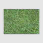 Grüngras Seidenpapier (Vorderseite)