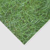 Grüngras Seidenpapier (Ausschnitt)