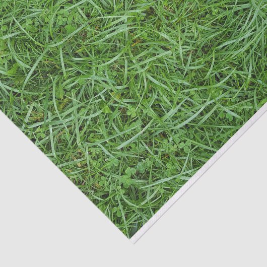 Grüngras Seidenpapier (Ausschnitt)