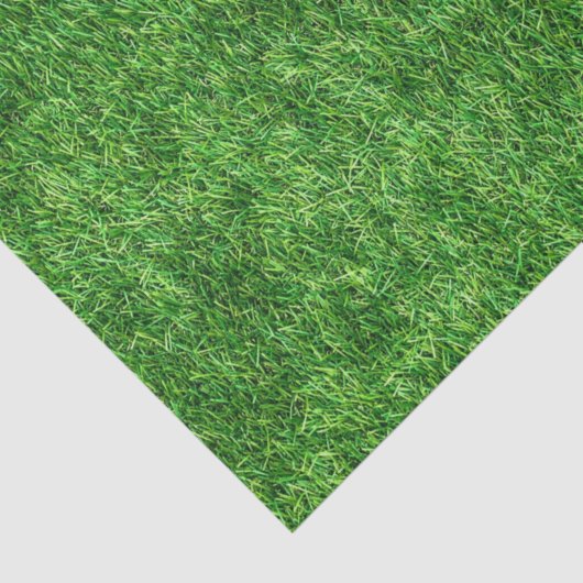 Grüngras Seidenpapier (Ausschnitt)