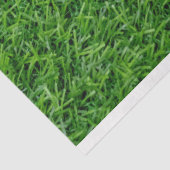 Grüngras Seidenpapier (Ausschnitt)