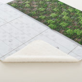 Grüngras Sherpadecke (3/4)