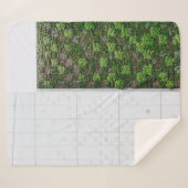 Grüngras Sherpadecke (Vorderseite (Horizontal))