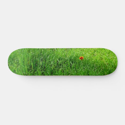 Grüngras Skateboard (Horizontal)