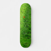 Grüngras Skateboard (Vorne)
