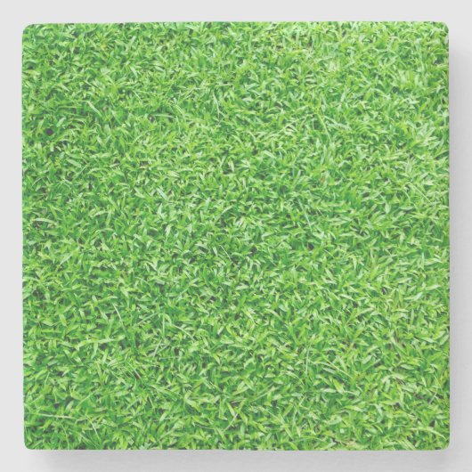 Grüngras Steinuntersetzer (Vorderseite)