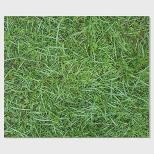 Grüngras-Umschlagpapier Geschenkpapier (Flach)