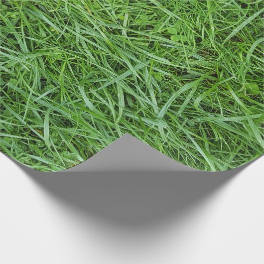 Grüngras-Umschlagpapier Geschenkpapier (Ecke)