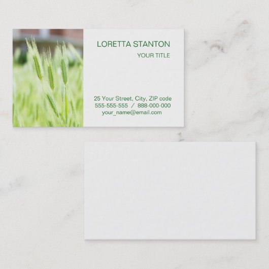 Grüngras Visitenkarte (Vorne/Hinten)