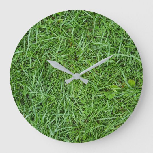 Grüngrasmakrele Große Wanduhr (Vorderseite)