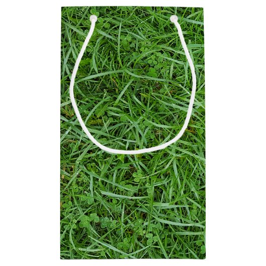 Grüngrassohle Geburtstag Kleine Geschenktüte (Rückseite)