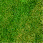 Grüngrasstruktur Freistehende Fotoskulptur<br><div class="desc">Grünes Gras Textur Foto. Große grüne Graslandschaft für viele tolle Produkte und Vorlagen. Fügen Sie Ihren eigenen Text hinzu und personalisieren Sie diese Geschenke mit Monogrammen und benutzerdefinierten Texten. Machen Sie sie wirklich einzigartig!</div>