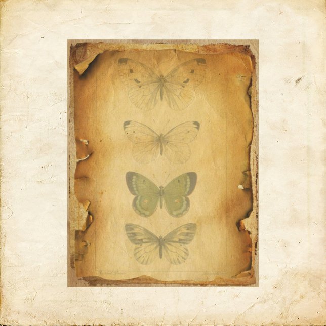 Grungy Butterfly Scrapbook Paper (Von Creator hochgeladen)