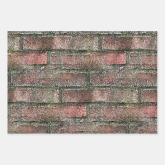 Grungy Dirty Moldy Brick Wall Geschenkpapier Set (Vorderseite 3)