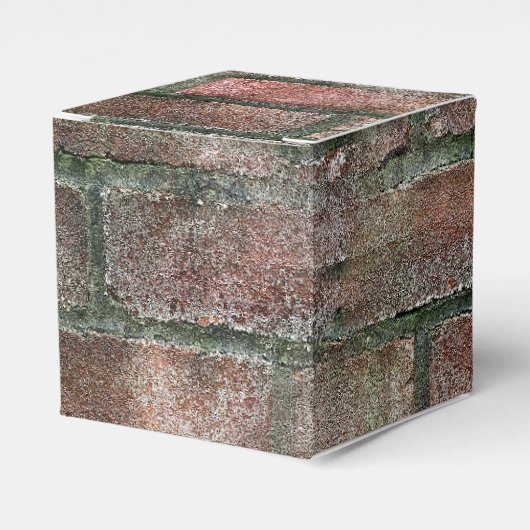 Grungy Dirty Moldy Brick Wall Geschenkschachtel (Vorderseite)