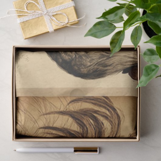 Grungy Roosters Tissue Paper Seidenpapier (Geschenk)