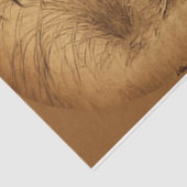 Grungy Roosters Tissue Paper Seidenpapier (Ausschnitt)