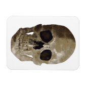 Grungy Skull Halloween Magnet (Horizontal)