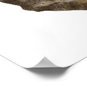 Grungy Skull Poster (Ecke)