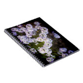 Grungy Sweet Alyssum Notizblock (Rechte Seite)