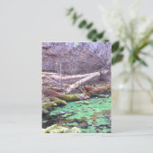 Grünhöhle Postkarte (Stehend Vorderseite)